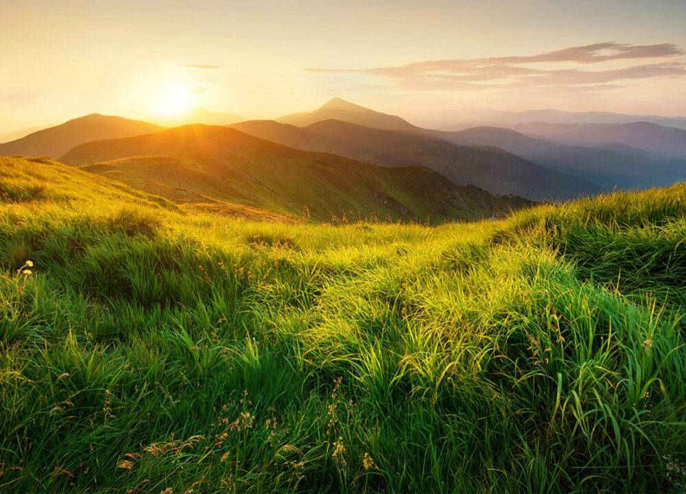 images-gallery-elements-image-2