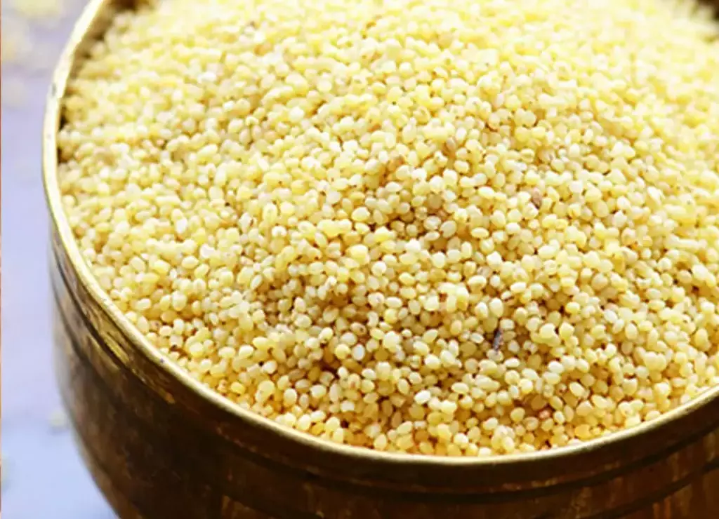 Foxtail Millet